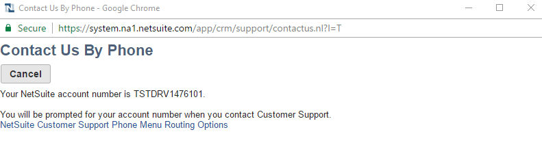 NetSuite-Account-support