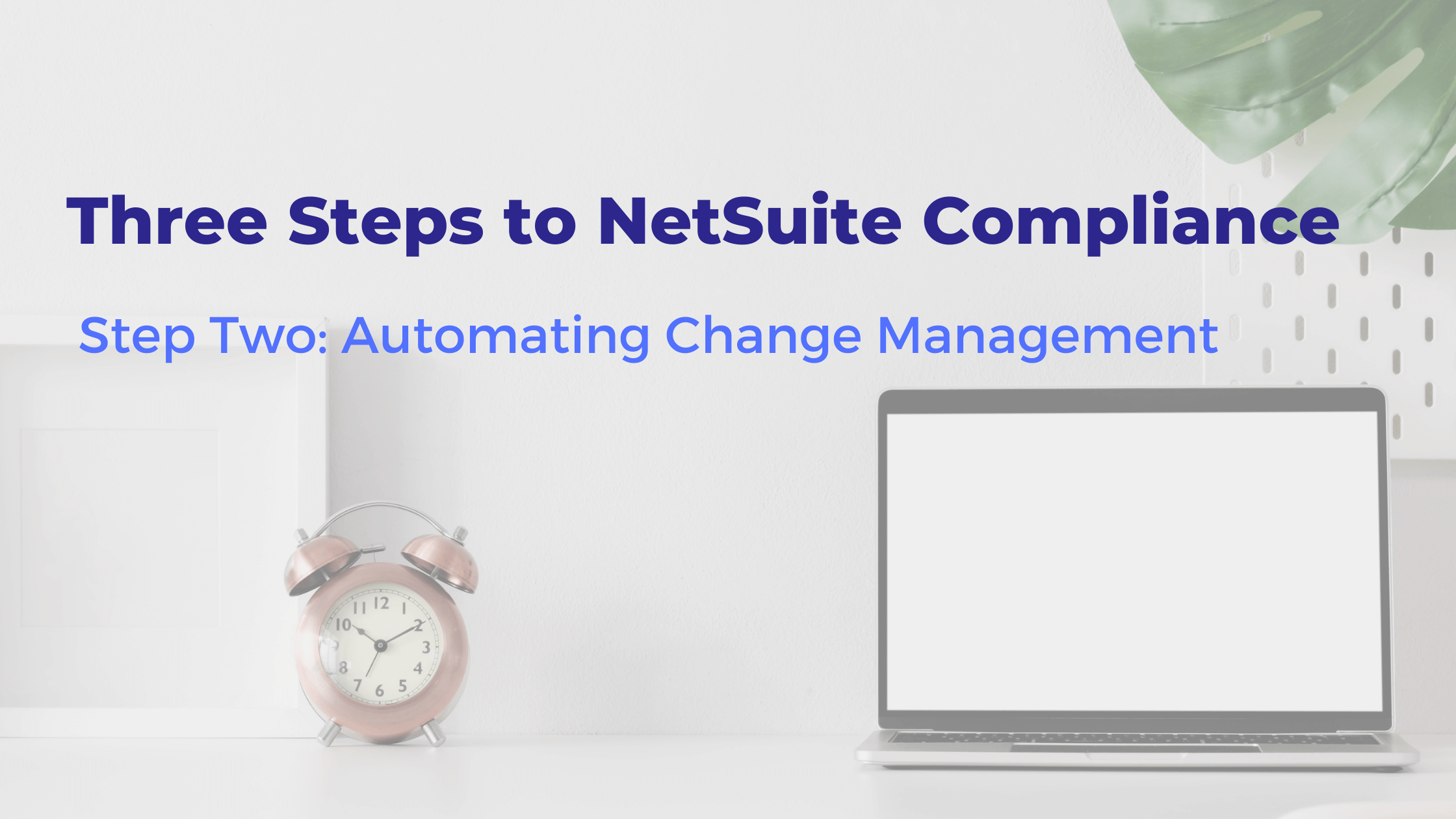 Three Steps to NetSuite Compliance